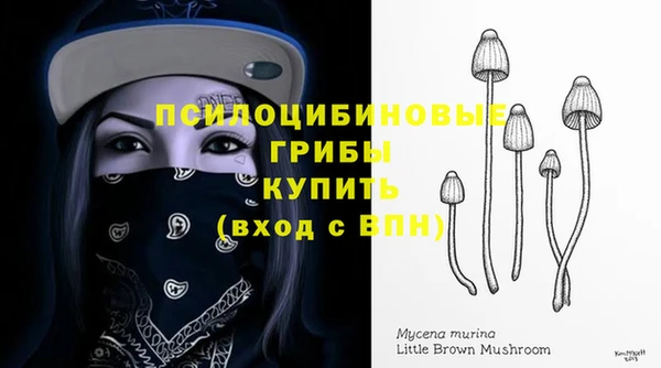 эйфоретик Алексеевка