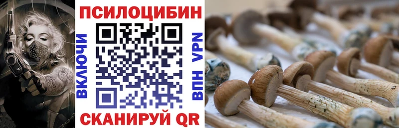 Галлюциногенные грибы Magic Shrooms  Плавск 